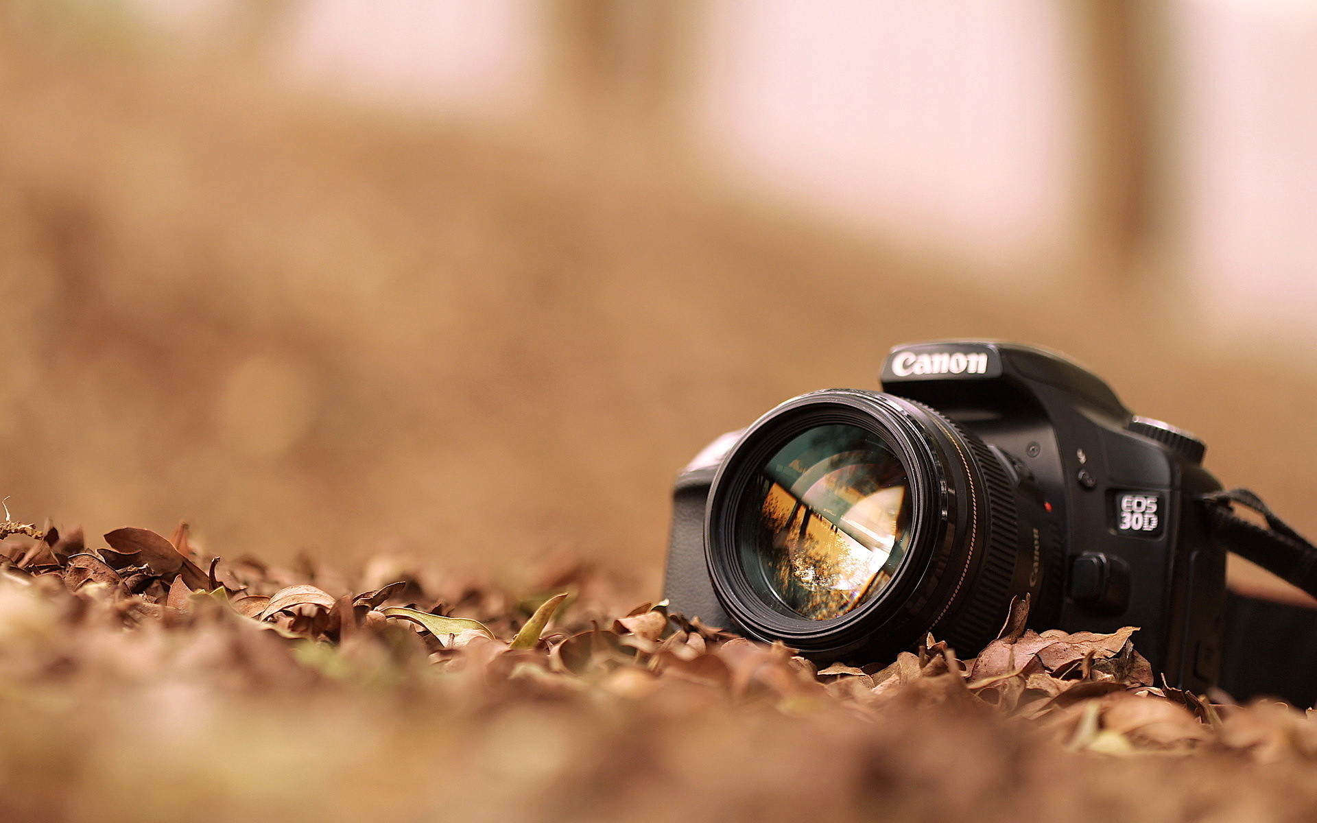 How to Achieve the Best Camera Shot: Planning and Posing for Outdoor & Indoor Photography